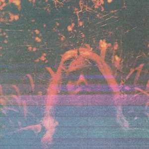 Peripheral Vision (10 Year Anniversary Deluxe Edition) by Turnover